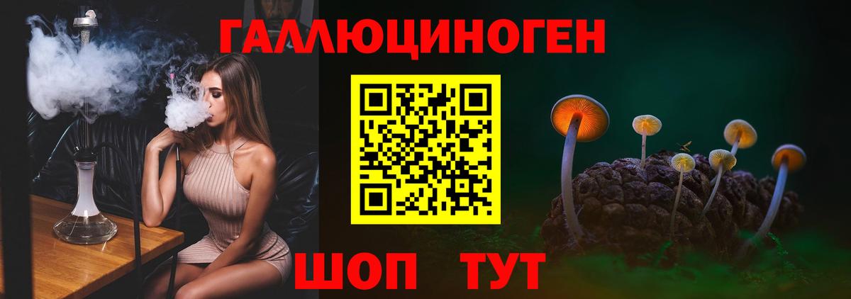Псилоцибиновые грибы Cubensis Нижнеудинск